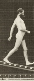 Plate 113 Descending an incline — figure reference